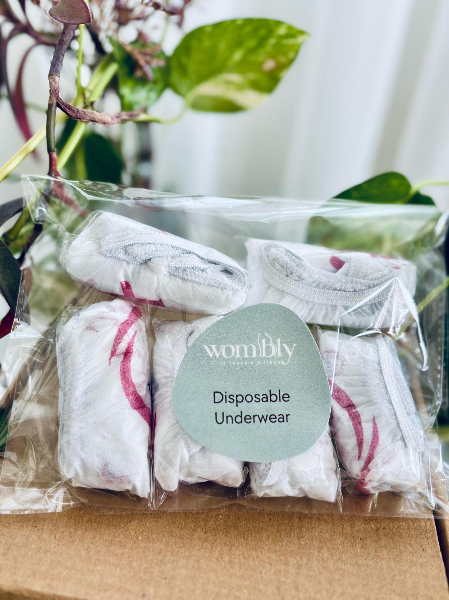 Disposable Underwear (3 Packs)